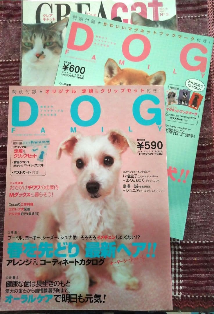 ドッグファミリー　クレアキャット　雑誌 — image 1