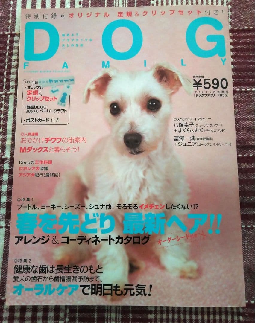 ドッグファミリー　クレアキャット　雑誌 — image 2