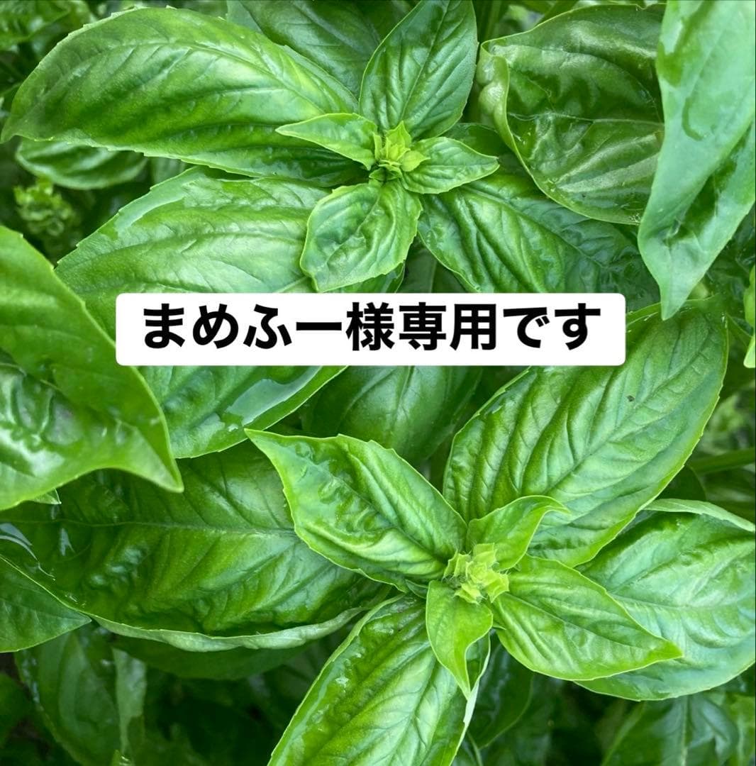 まめふー様専用です。 — image 1