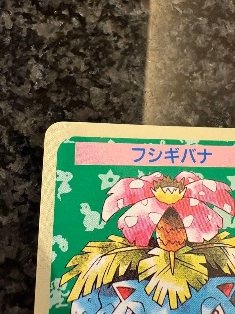 ポケモンカード　フシギバナ　トップサン エラー　番号なし　青版 — image 2