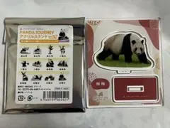 アドベンチャーワールド　パンダジャーニー　アクリルスタンド　梅梅 — image 1