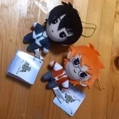 KING OF PRISM　キンプリ　ぬいぐるみ　マスコット　タイガ 　カケル — image 1